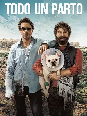 Todo un parto (2010) [WEB-DL] 1080p Latino